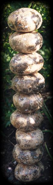 Pile of ceramic stones